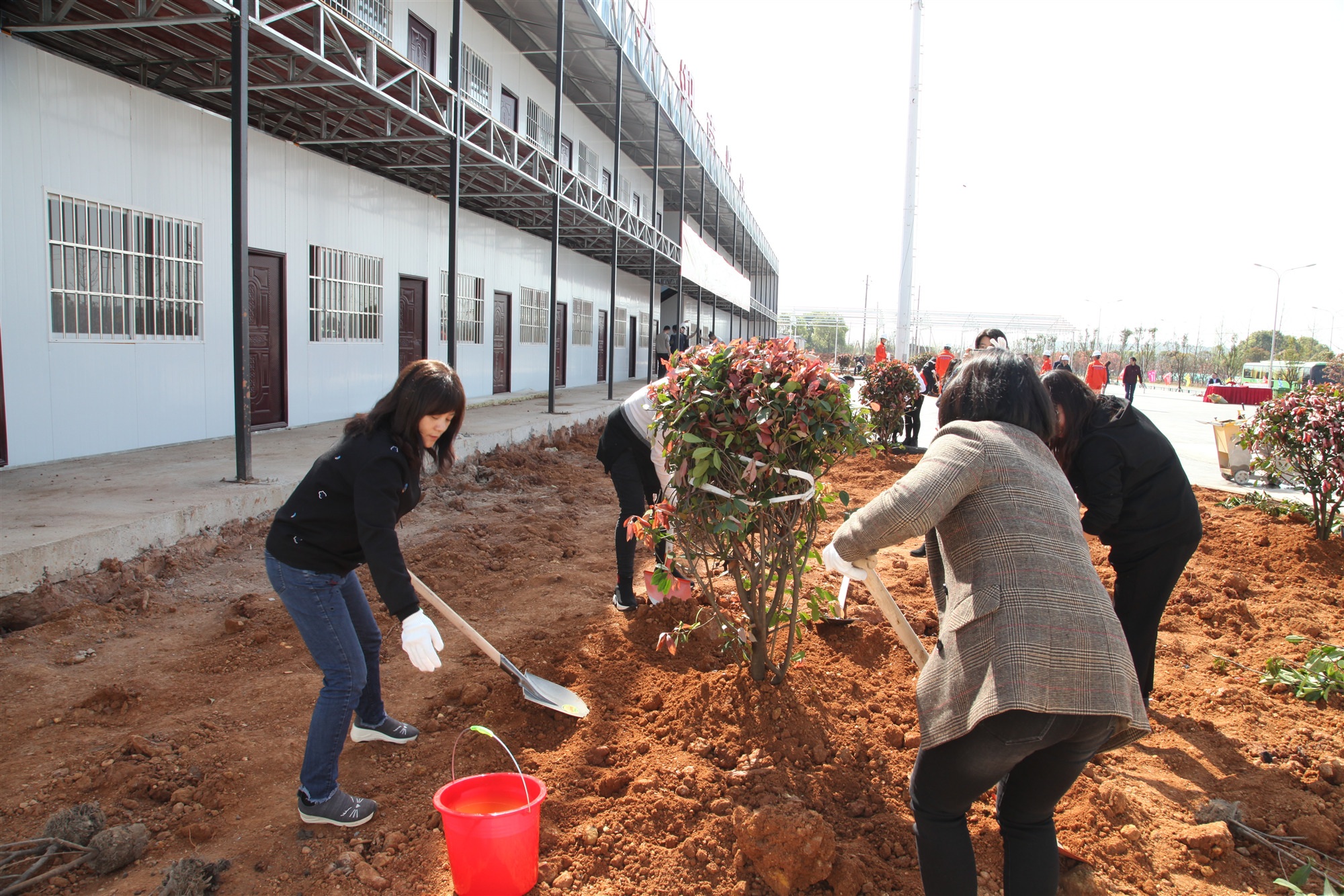 20210406832234.jpg 5.jpg