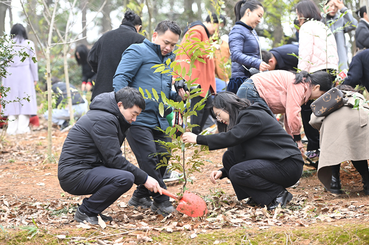 20240308137706.jpg DSC_7514_副本 (1).jpg